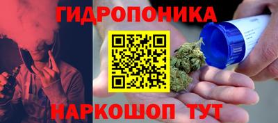 спайс Кандалакша