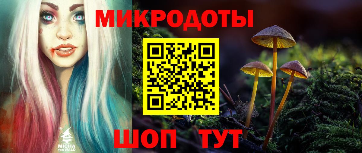 Галлюциногенные грибы Psilocybine cubensis  купить   Элиста  Вход с VPN 